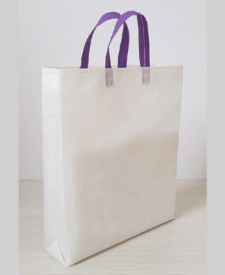 بگ خرید دورنگ بگ خرید دورنگ